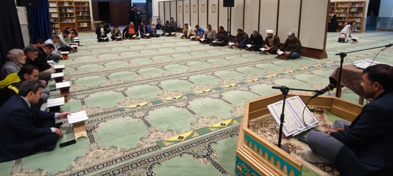 photo 3 2025 11 01 00 36 43